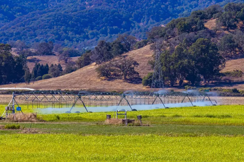 沈阳电商如何通过农产品线上销售平台打通产地直供链路