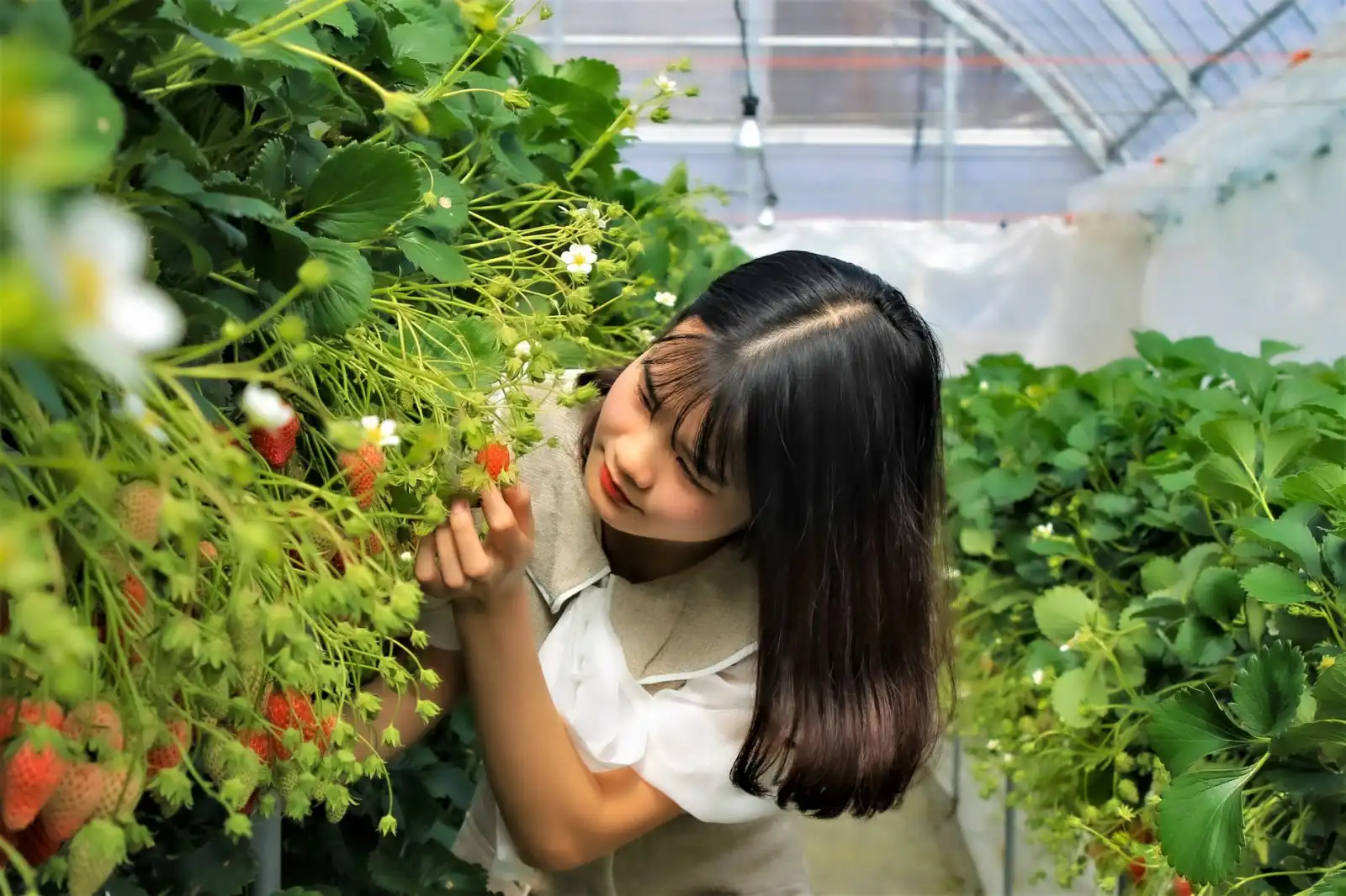 2025年农产品电商供应链质量管控体系建设要点