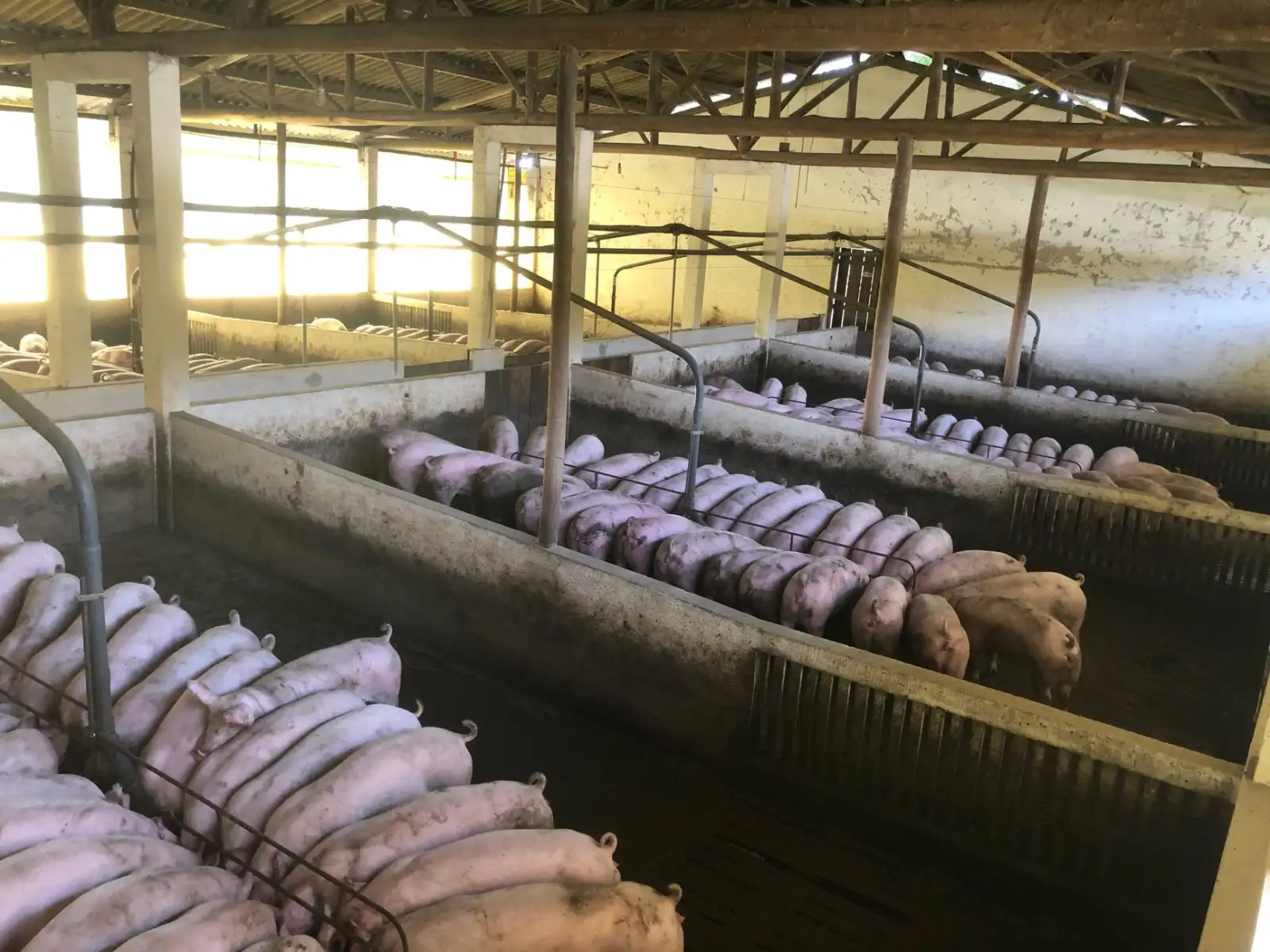 有机法库品牌电商供应链质量管控体系构建要点