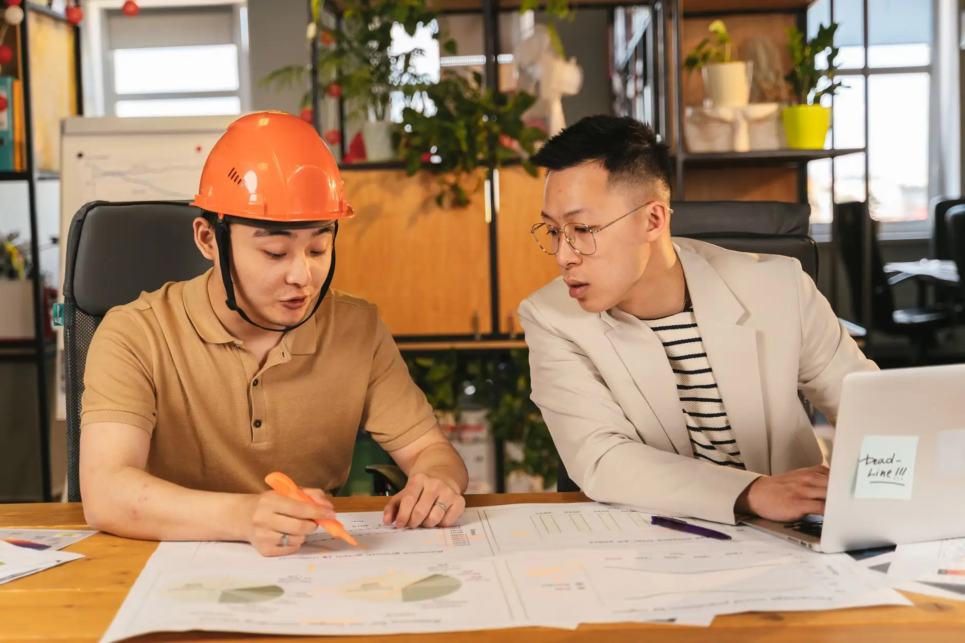 沈阳乡悦电商有机农产品系列选购指南与品质对比分析