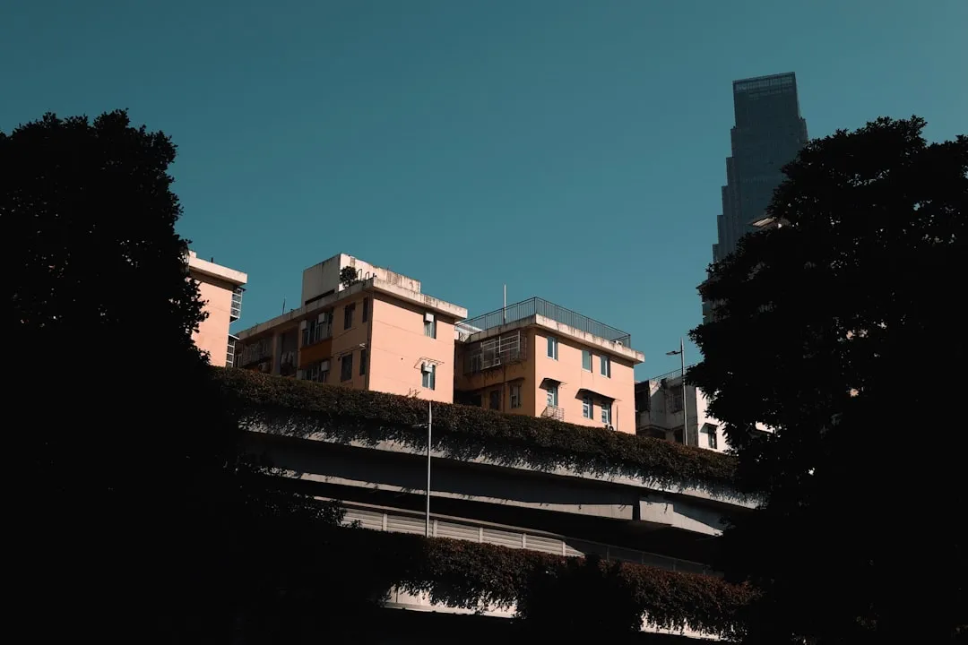 沈阳农特产电商平台选品策略与供应链质量管控实践