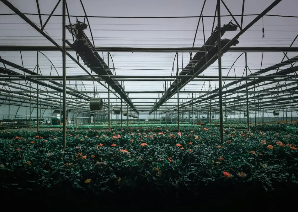 沈阳电商农产品供应链质量管控要点与实施路径
